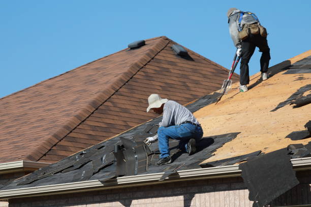 Best Roof Installation  in Craig, CO