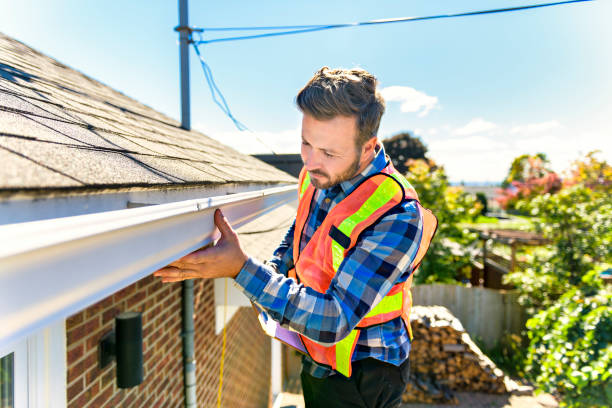 Best Asphalt Shingles Roofing  in Craig, CO